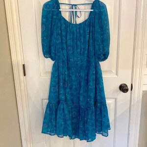 New! Standards & Practices Paisley floral Dress blue nwt 33689